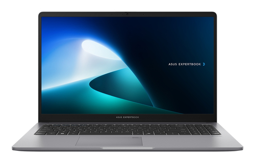 Portátil ASUS ExpertBook P1 P1503CVA-S73016 15.6"